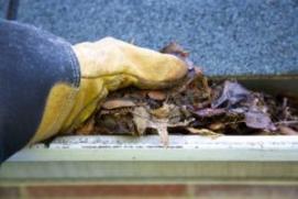 we clean out gutters and do fall maintenance